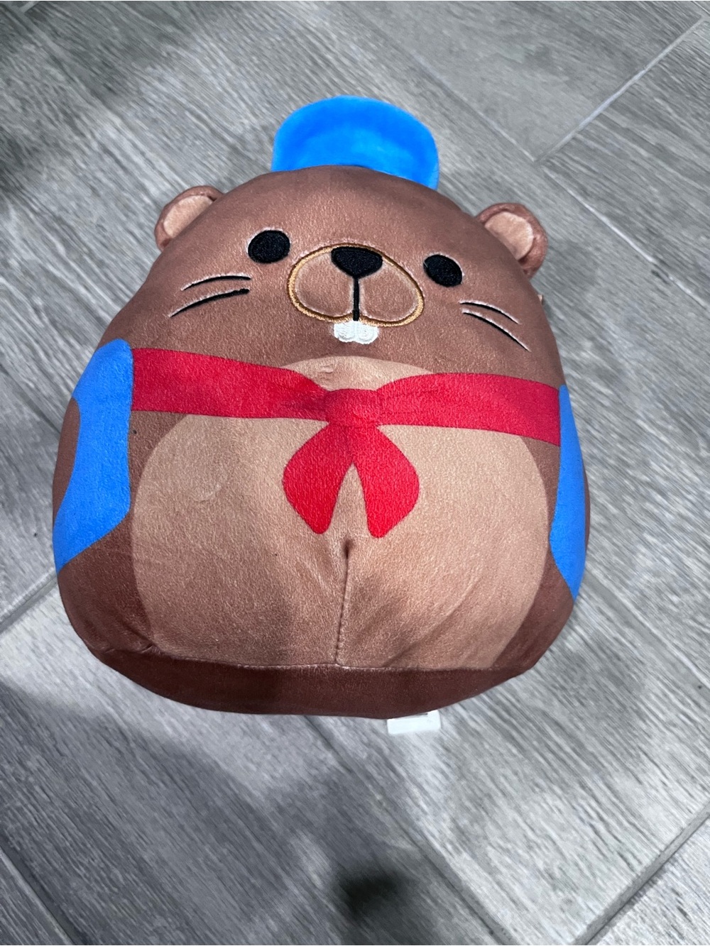 Squishmallows Brown Beaver with Blue Hat and Red Scarf